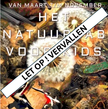 251016_VERVALLEN_NATUURLAB