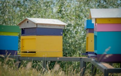 Forthoning - Nieuw streekproduct doet zijn intrede op fort Sabina